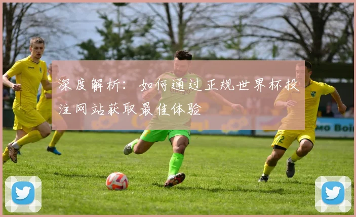深度解析:如何通过正规世界杯投注网站获取最佳体验