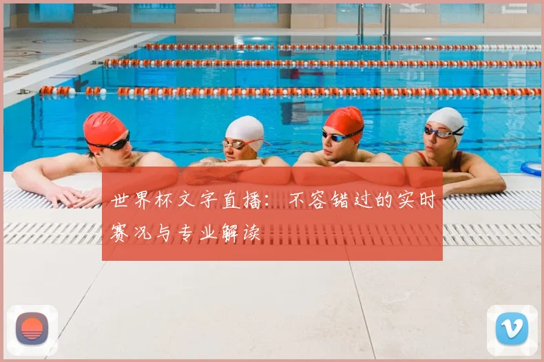 世界杯文字直播：不容错过的实时赛况与专业解读