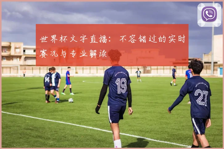 世界杯文字直播：不容错过的实时赛况与专业解读