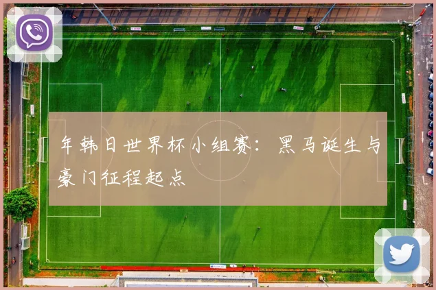年韩日世界杯小组赛：黑马诞生与豪门征程起点