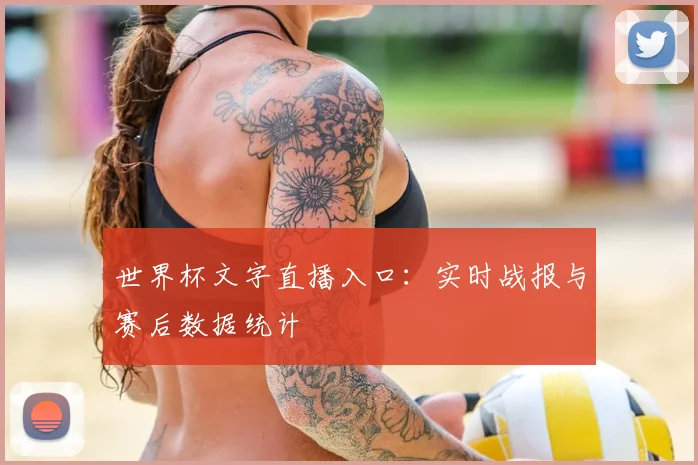 世界杯文字直播入口：实时战报与赛后数据统计