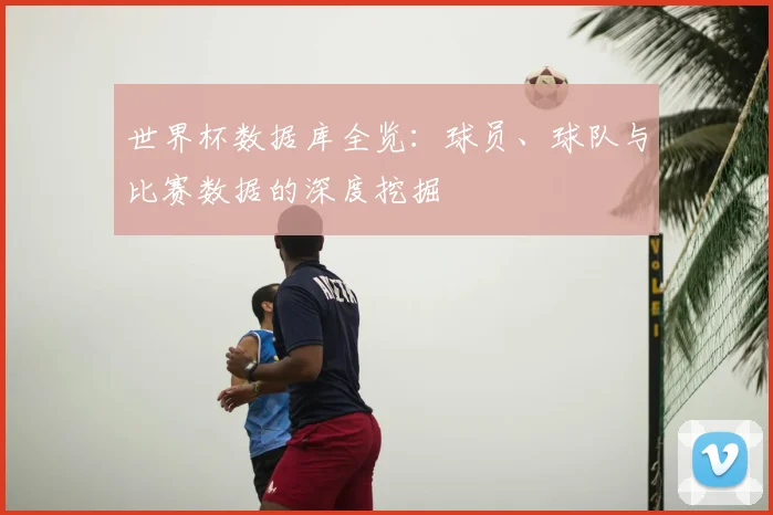 世界杯数据库全览：球员、球队与比赛数据的深度挖掘