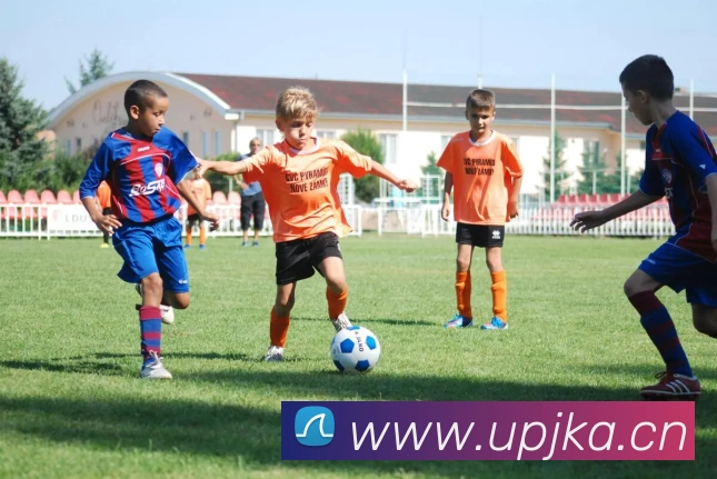 乐鱼官方在线登录入口全站App